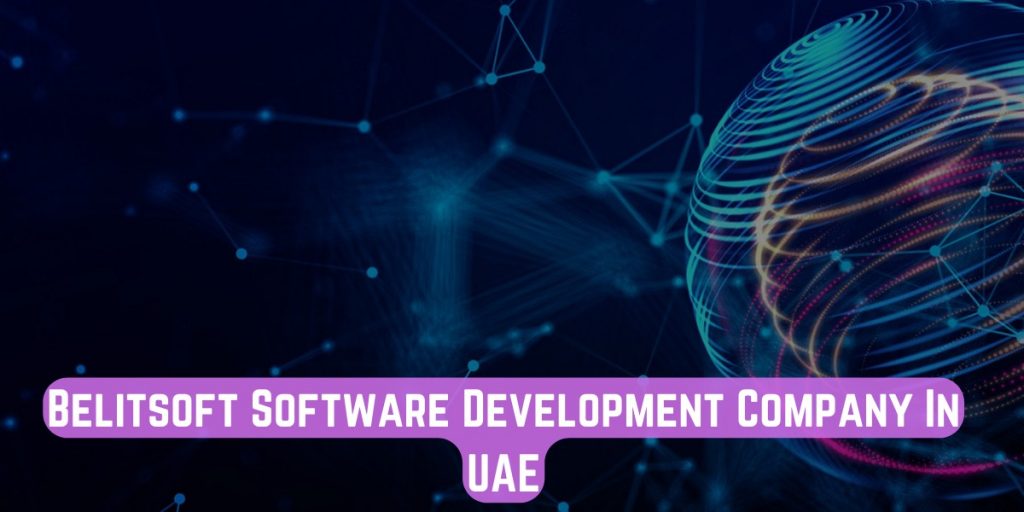 Belitsoft Software Development Company In UAE