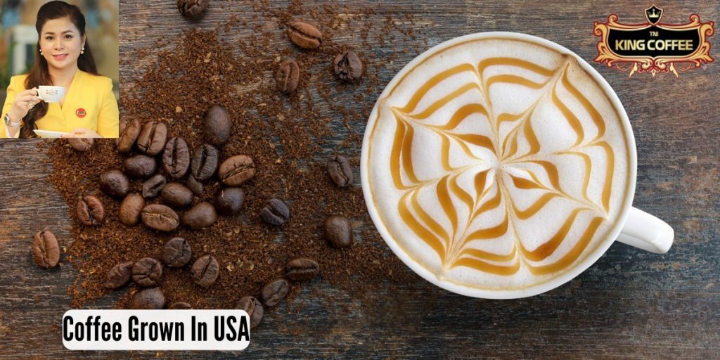 Coffee Grown In USA